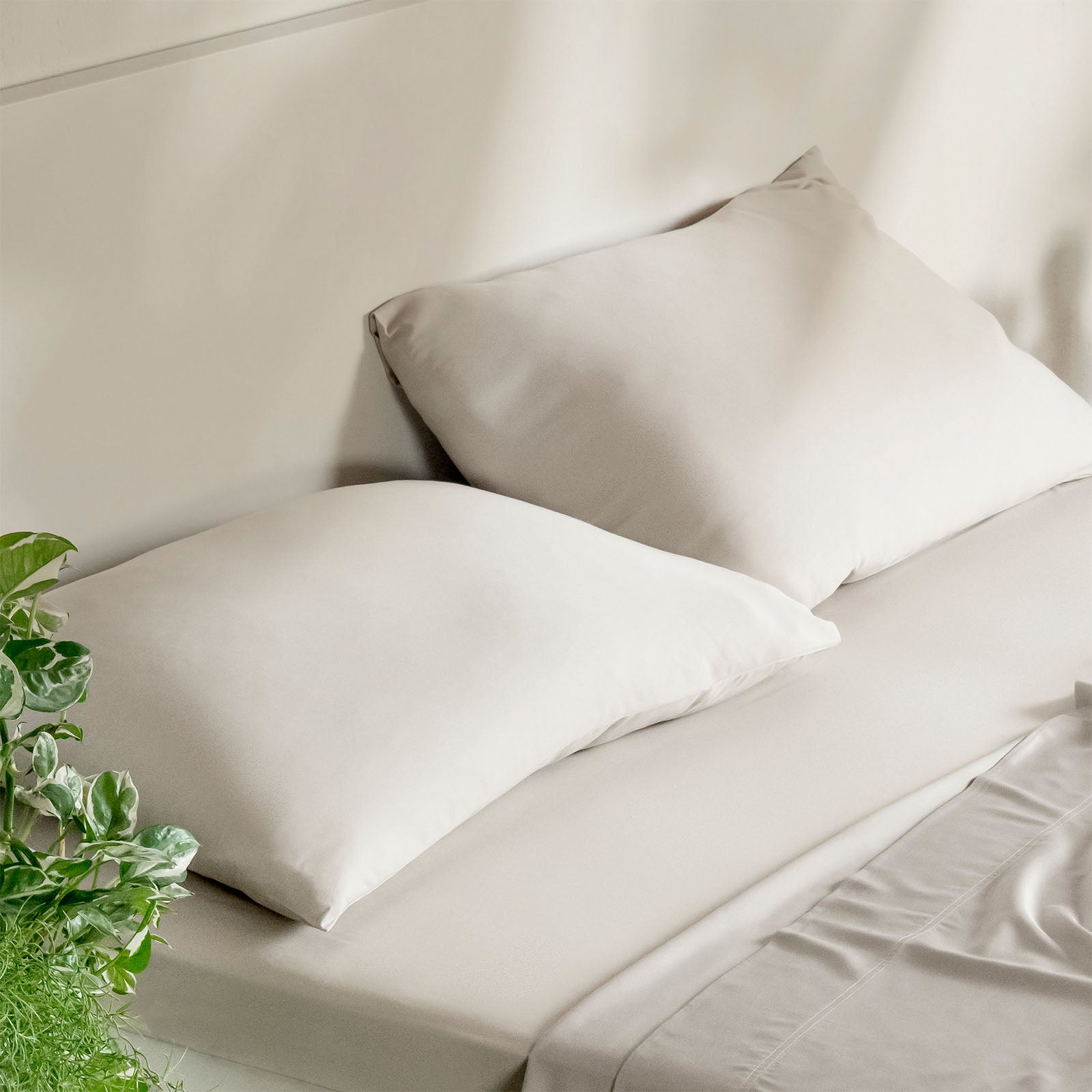 Neatly made bed with beige pillows and sheets, accompanied by a small plant.
